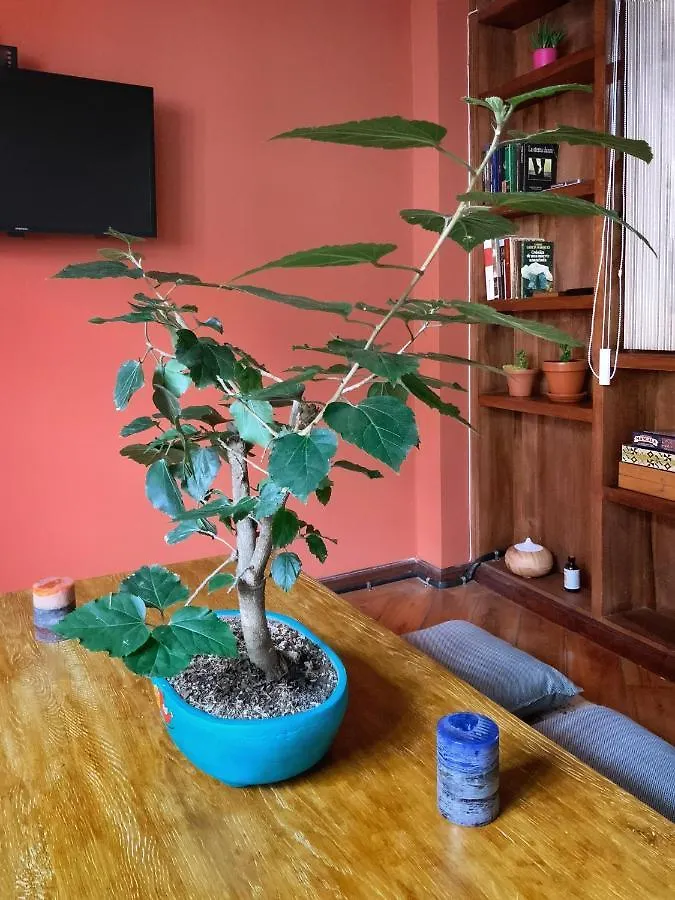 Guest house Nanas Hostel Cuenca Ecuador